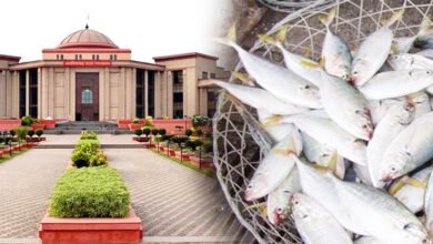 हाईकोर्ट मछलियों के अवैध शिकार से सख्त