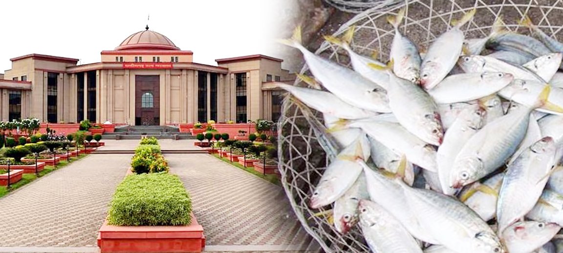 हाईकोर्ट मछलियों के अवैध शिकार से सख्त